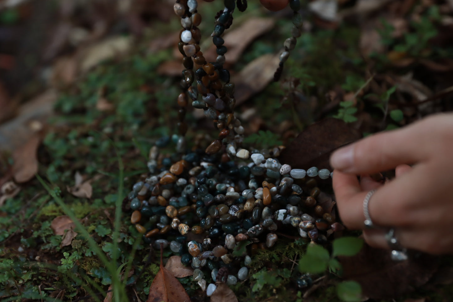 Natures Medicine ~ Bracelet