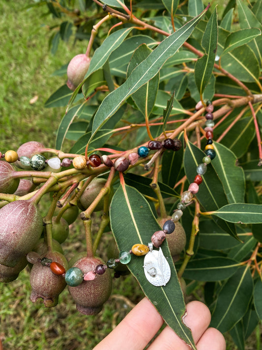 Flowering Gum