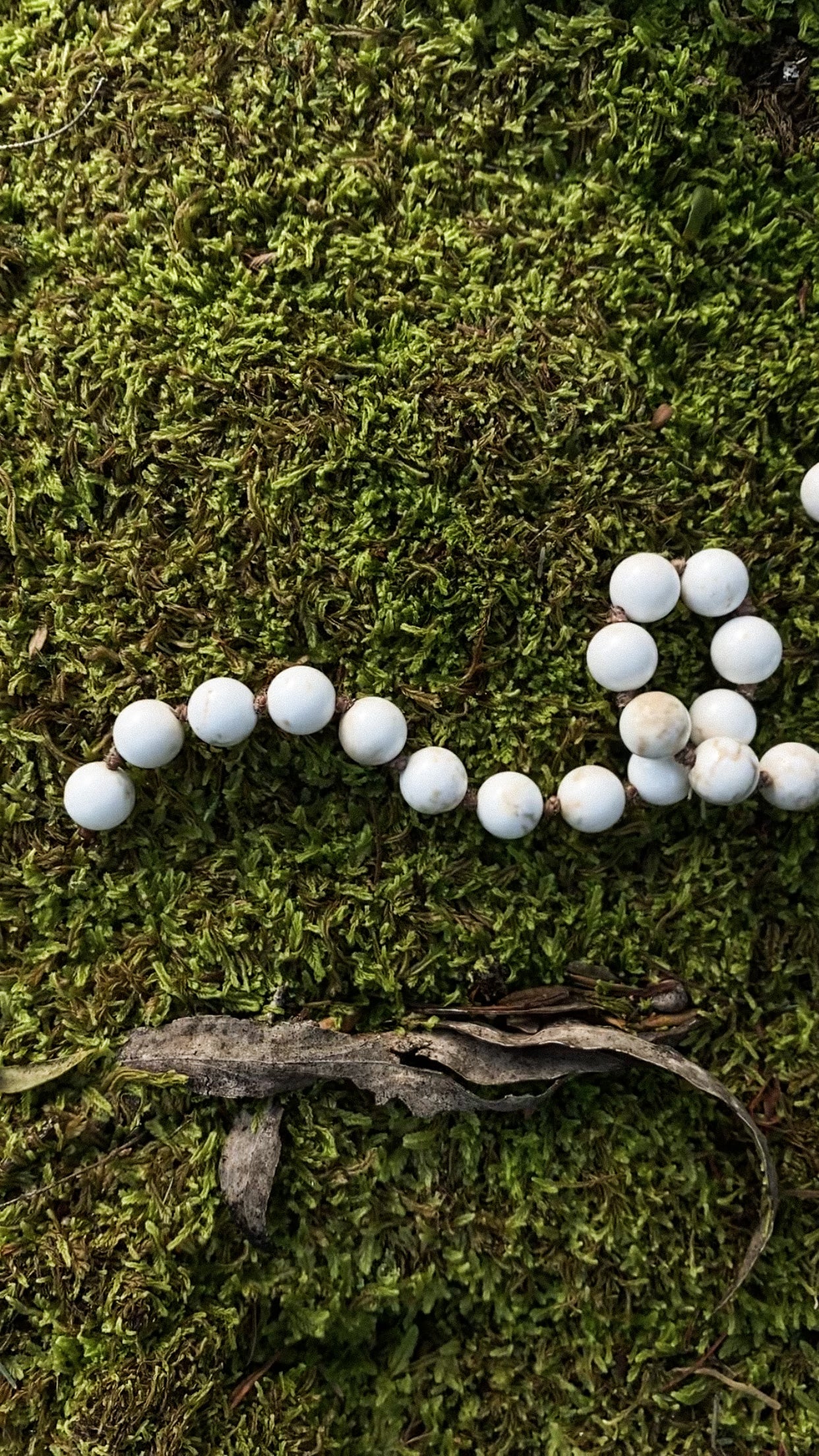 Calm Mind, Clear Thoughts | Magnesite Mala Beads