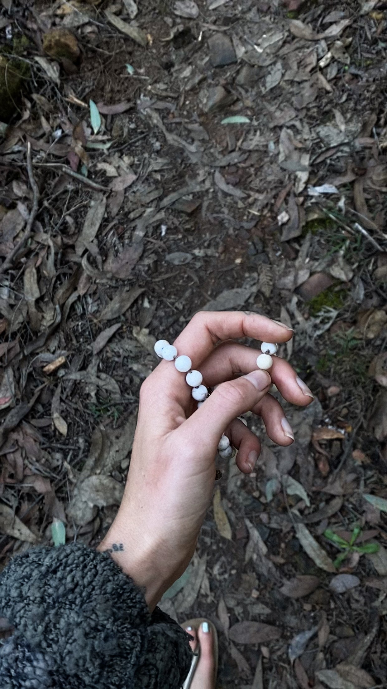 Calm Mind, Clear Thoughts | Magnesite Mala Beads